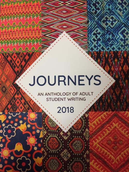 Cover of Journeys book 